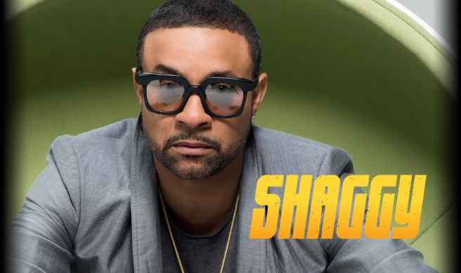 Shaggy-BANNER