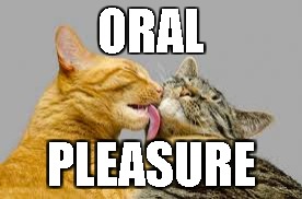 oral2