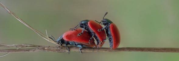 03fd182aa688476b9f94031c7590f9da