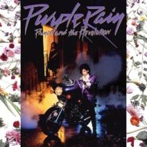 Princepurplerain